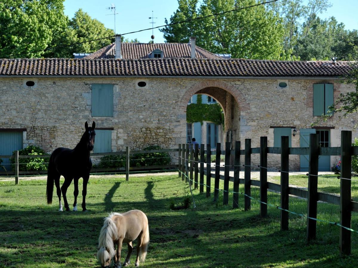 Chateau De L'Isle - Chambres D'Hotes Castelnau-de-Médoc Exteriér fotografie